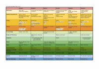 Year 5 Curriculum Map